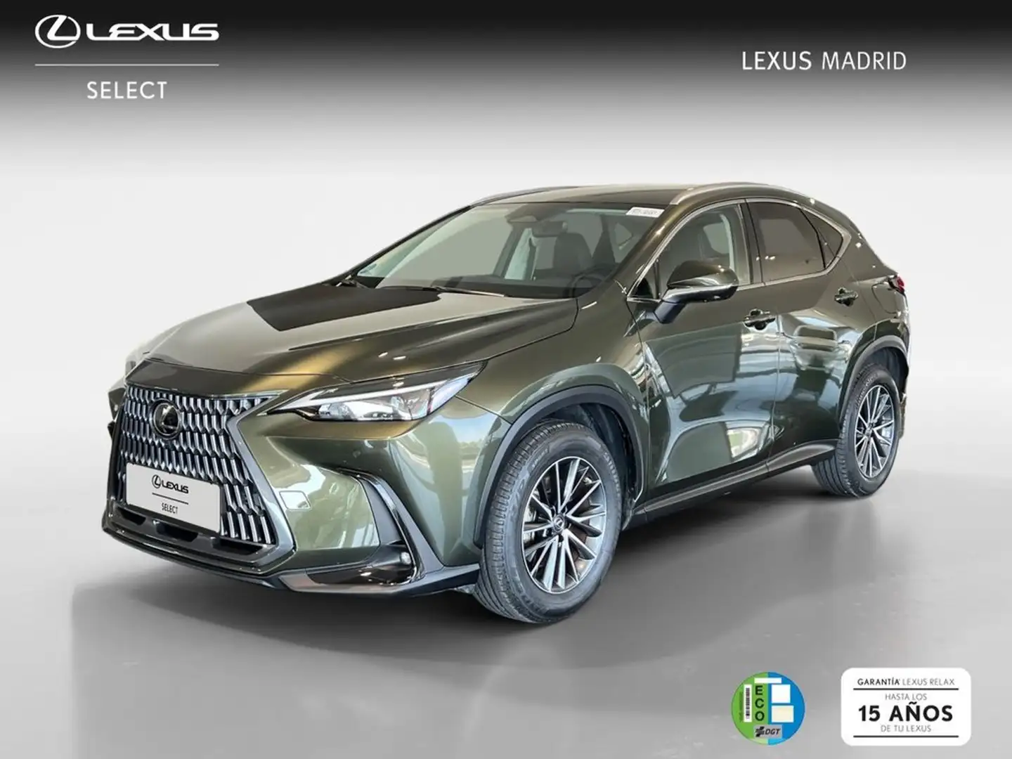 Lexus NX 350h Executive 2WD Vert - 1