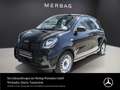 smart forFour EQ Serie Cool&Audio DAB Sitzheizung Volldach Negru - thumbnail 1