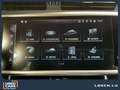 Audi A6 Advanced+40TDI+S-Tronic+LED Gris - thumbnail 14