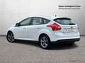 Ford Focus 1.0 EcoBoost ASS 125cv Edition Blanco - thumbnail 4