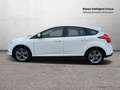 Ford Focus 1.0 EcoBoost ASS 125cv Edition Blanco - thumbnail 5