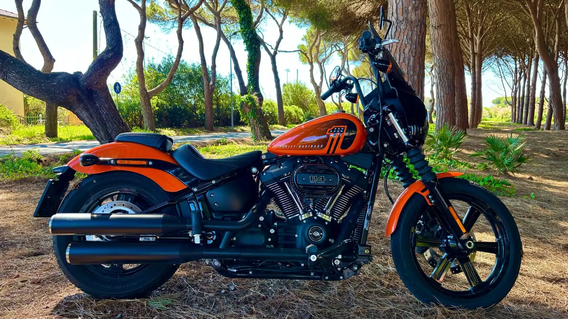 Harley-Davidson Dyna Street Bob FXDBI Iniezione - 1