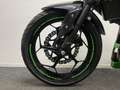 Kawasaki Z 300 Groen - thumbnail 16