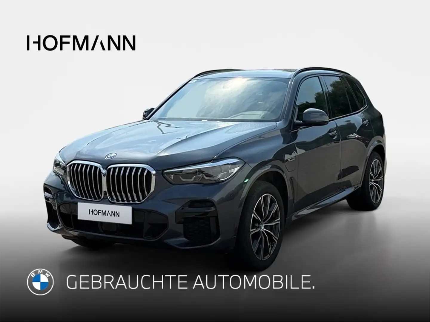 BMW X5 M Sport Grau - 1