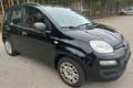 Fiat Panda My Panda Schwarz - thumbnail 6