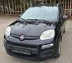 Fiat Panda My Panda Schwarz - thumbnail 1