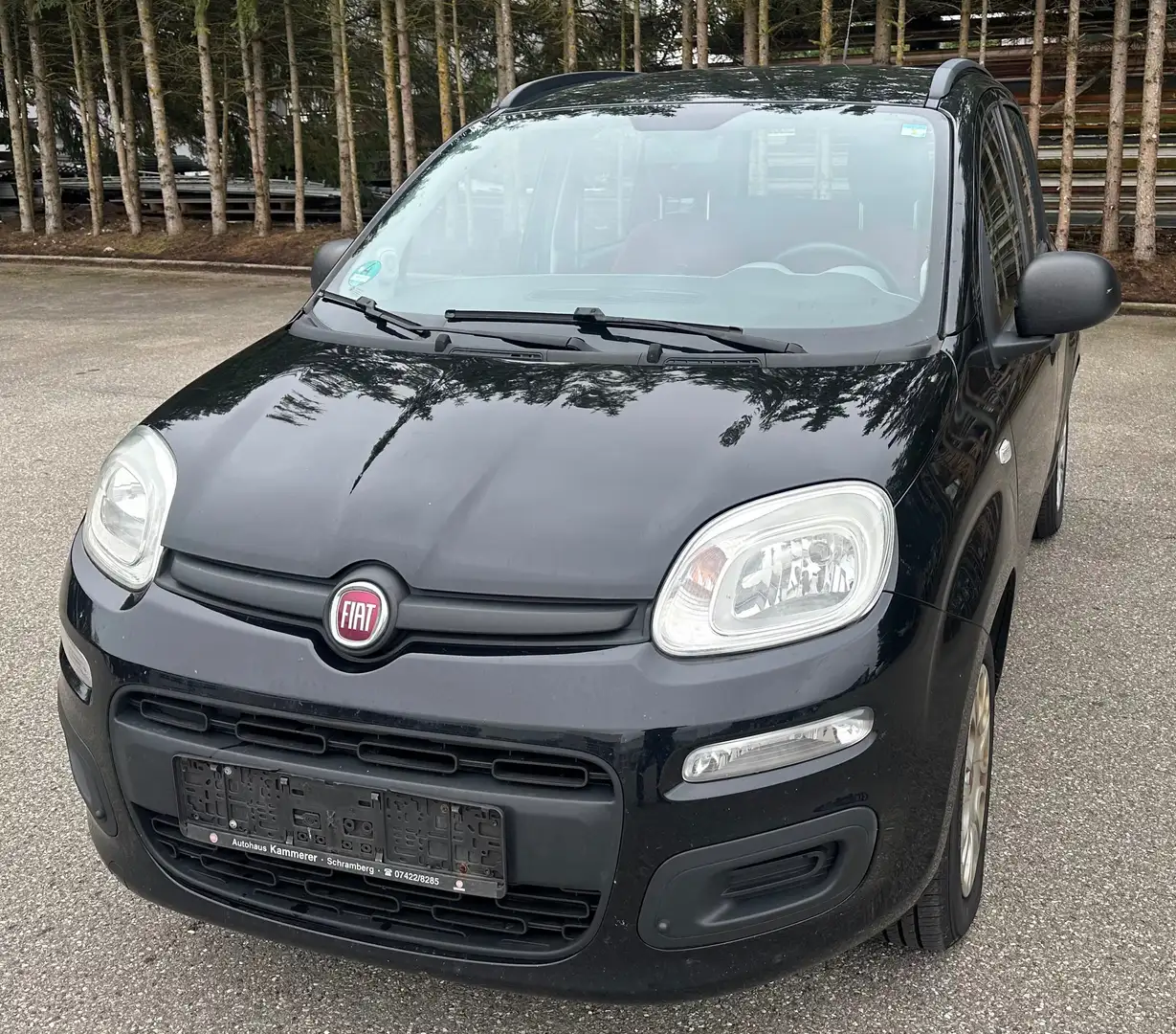 Fiat Panda My Panda Schwarz - 1