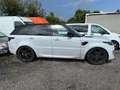 Land Rover Range Rover Sport 3.0 TDV6 HSE Dynamic AUTOBIOGRAPHY Blanc - thumbnail 4