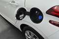 Peugeot 208 BUSINESS R' BLUEHDI 100 S&amp;S BVM5 ACTIVE - thumbnail 24