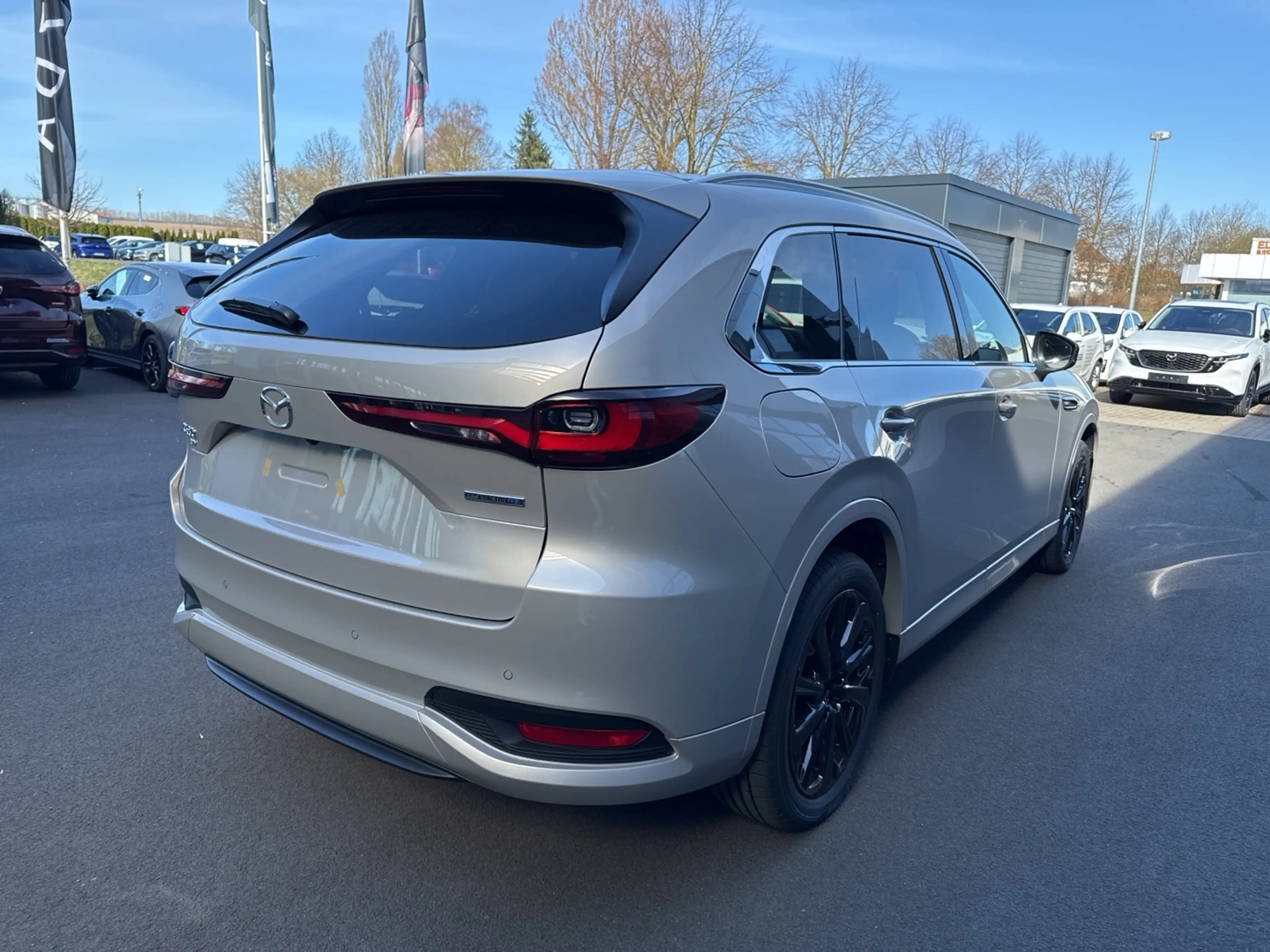 Mazda CX-80 Homura Plus PHEV BLOP Metallic — photo 4