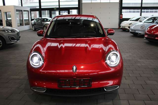 Ora Funky Cat Ora 03 300 PRO