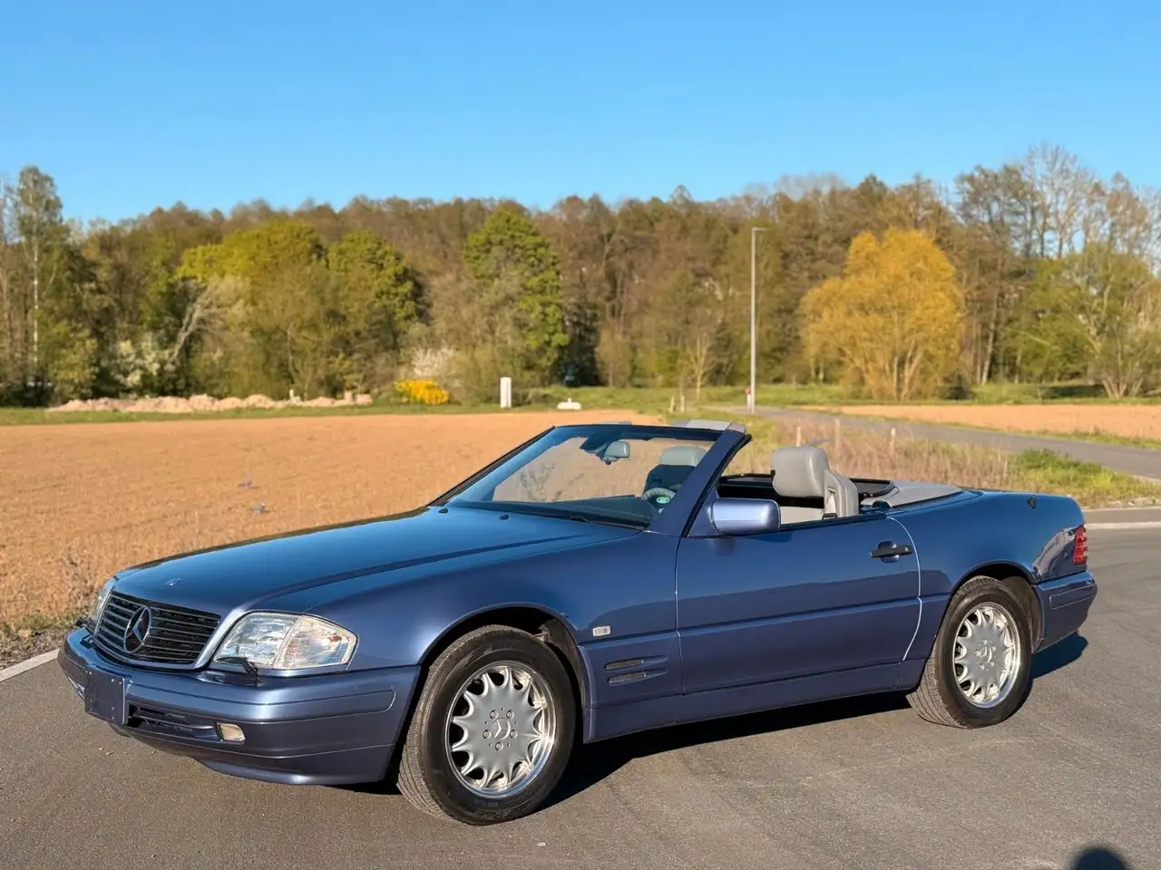 Mercedes-Benz SL 320 40th Anniversary Edition R129, foto 3