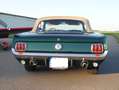 Ford Mustang Cabrio Zielony - thumbnail 13