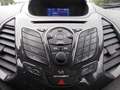 Ford EcoSport Titanium, Leder, Allwetter, Parksensoren Blanc - thumbnail 25