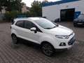 Ford EcoSport Titanium, Leder, Allwetter, Parksensoren Blanc - thumbnail 3