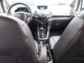 Ford EcoSport Titanium, Leder, Allwetter, Parksensoren Blanc - thumbnail 21