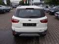 Ford EcoSport Titanium, Leder, Allwetter, Parksensoren Blanc - thumbnail 6