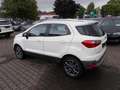 Ford EcoSport Titanium, Leder, Allwetter, Parksensoren Blanc - thumbnail 7