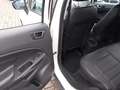 Ford EcoSport Titanium, Leder, Allwetter, Parksensoren Blanc - thumbnail 15
