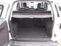 Ford EcoSport Titanium, Leder, Allwetter, Parksensoren Blanc - thumbnail 13