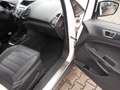 Ford EcoSport Titanium, Leder, Allwetter, Parksensoren Blanc - thumbnail 29