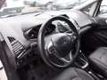 Ford EcoSport Titanium, Leder, Allwetter, Parksensoren Blanc - thumbnail 17