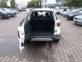 Ford EcoSport Titanium, Leder, Allwetter, Parksensoren Blanc - thumbnail 11