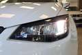 SEAT Ibiza 1.0 MPI Evo S&S Reference 80 Blanc - thumbnail 16