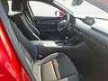 Mazda 3 Mazda3 Skyactiv Comfort+ | Navi | Bose Rot - thumbnail 14