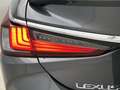 Lexus ES 300 300h 35th Edition | 18" LM-Velgen | Draadloze tele Gris - thumbnail 41
