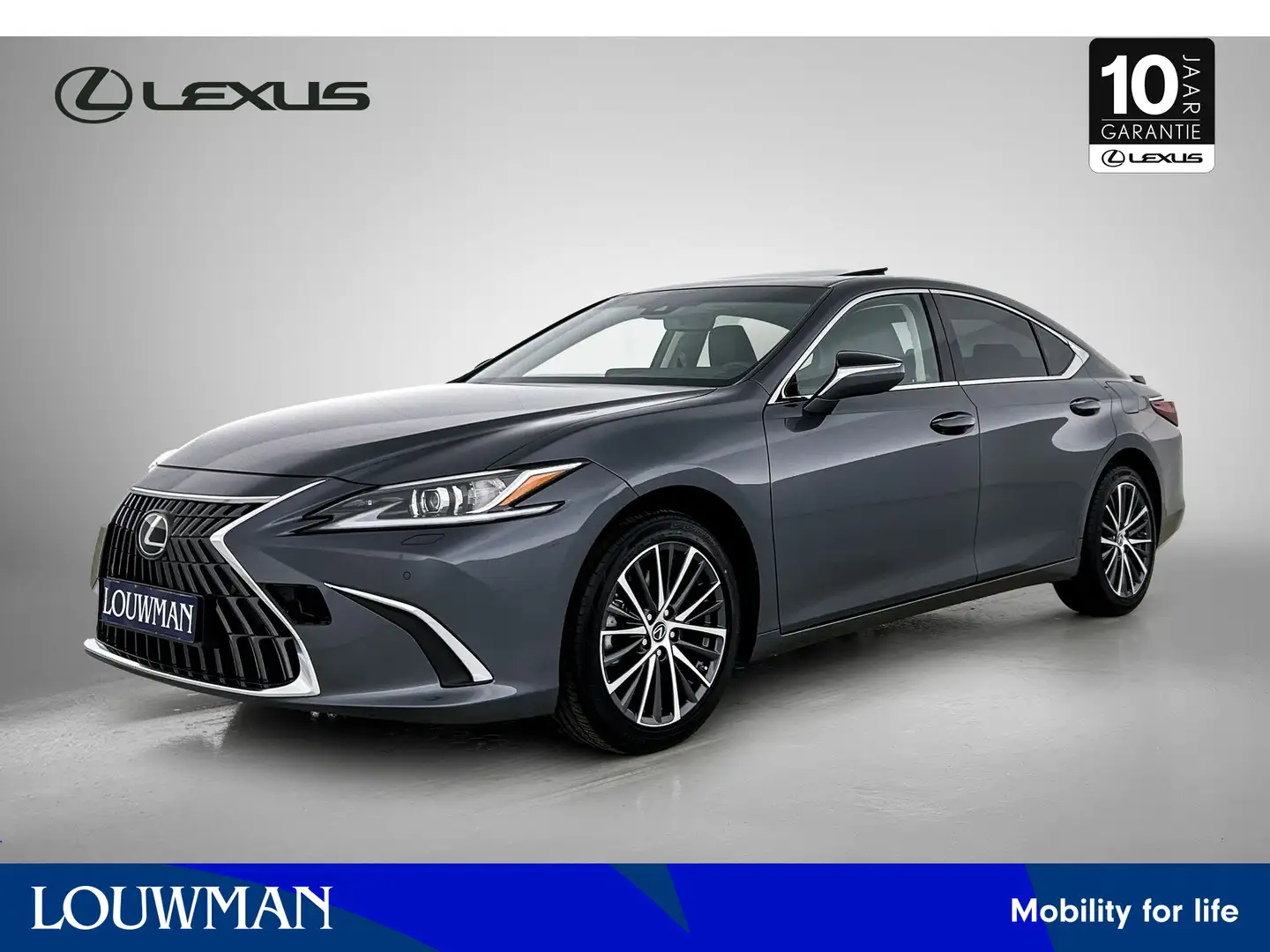 Lexus ES 300 300h 35th Edition | 18" LM-Velgen | Draadloze tele Gris - 1