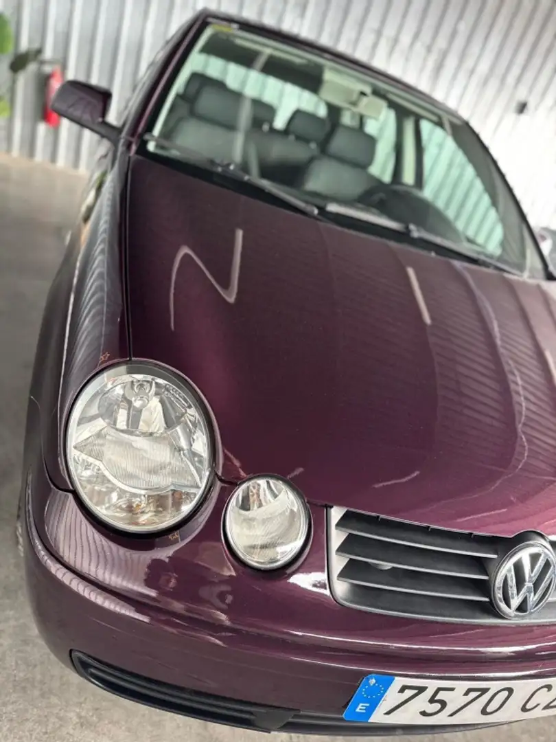 Volkswagen Polo 1.4 Trendline Burdeos - 2