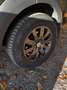 Land Rover Discovery DISCOVERY 3 TD V6 HSE Verde - thumbnail 11