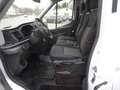 Ford Transit Pritsche 310 l 2 Weiß - thumbnail 7