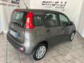 Fiat Panda 1.0 FireFly S&S Hybrid EASY Grigio - thumbnail 4