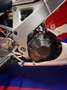 Honda CBR 900 Fireblade SC28 Blanco - thumbnail 10