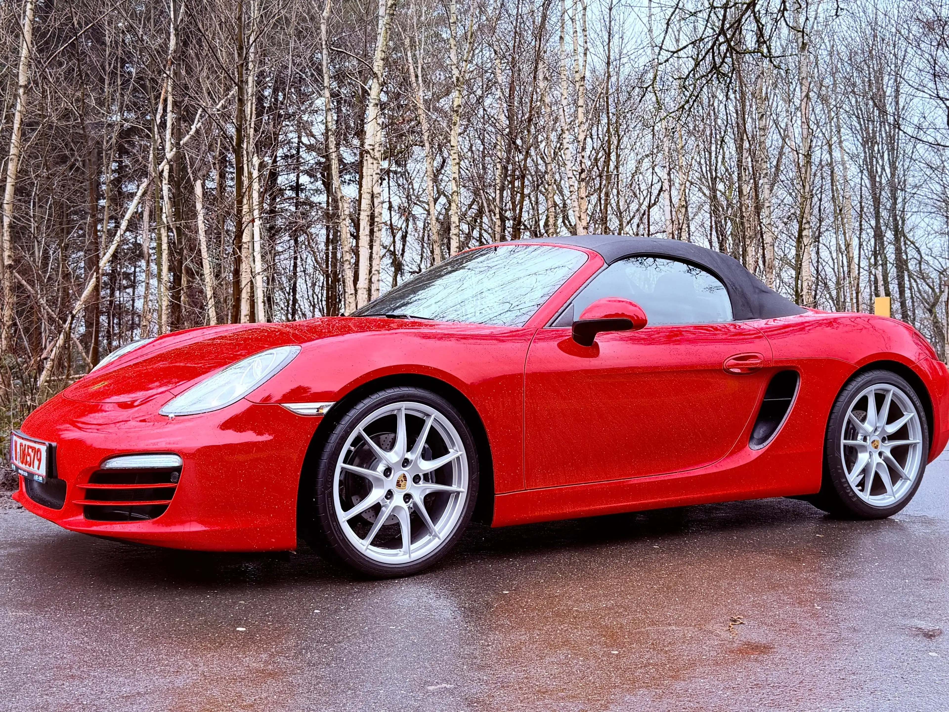 Porsche Boxster Basis