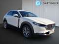 Mazda CX-30 e-Skyactive G140 Centre-Line Weiß - thumbnail 15