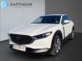 Mazda CX-30 e-Skyactive G140 Centre-Line Weiß - thumbnail 1