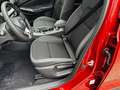 Nissan Juke 1.6 Hybrid N-Connecta WP*Navi*BFS*MJ25 Roşu - thumbnail 11