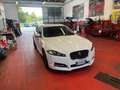 Jaguar XF XF I 2013 Sportbrake Sportbrake 2.2d 200cv auto Bianco - thumbnail 1