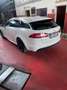 Jaguar XF XF I 2013 Sportbrake Sportbrake 2.2d 200cv auto Bianco - thumbnail 2