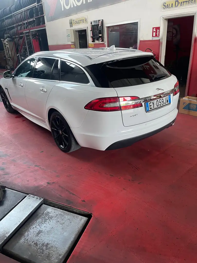 Jaguar XF XF I 2013 Sportbrake Sportbrake 2.2d 200cv auto Bianco - 2