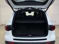 Mercedes-Benz EQB 250 + AMG Night Distronic Burmester LED AHK Blanc - thumbnail 16