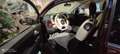 Fiat 500 500 III 2015 1.2 Lounge s Violet - thumbnail 9