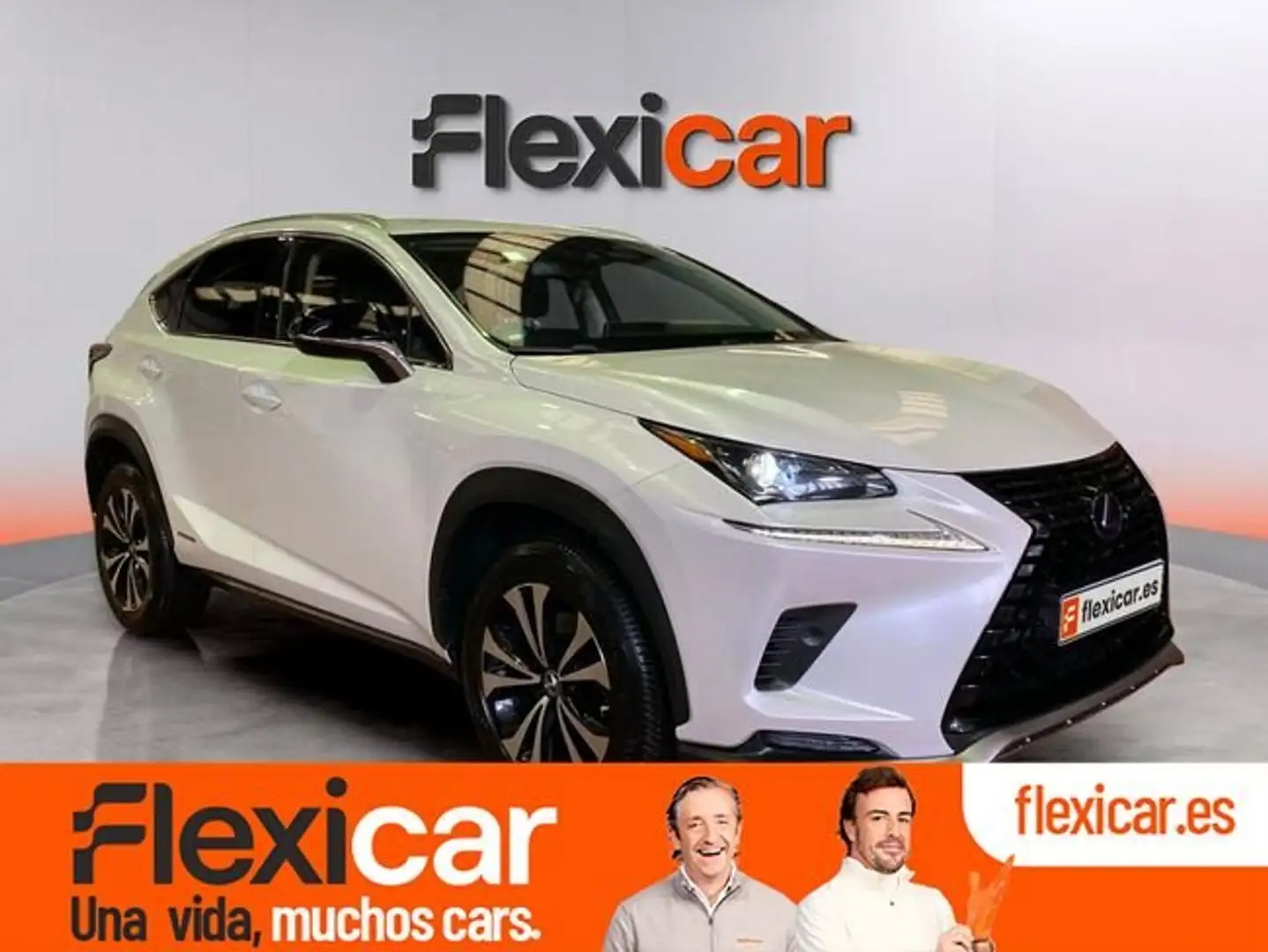 Lexus NX 300 300h Business 2WD Blanco - 1