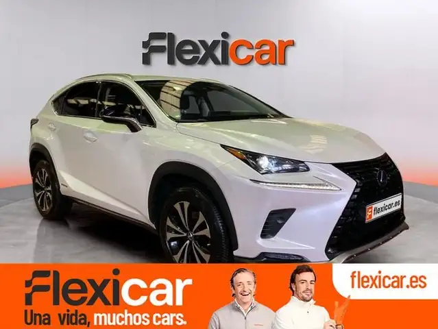Lexus NX 300 300h Business 2WD