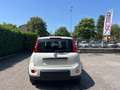 Fiat Panda 1.0 FireFly S&S Hybrid Pandina Bianco - thumbnail 6