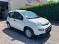 Fiat Panda 1.0 FireFly S&S Hybrid Pandina Bianco - thumbnail 3