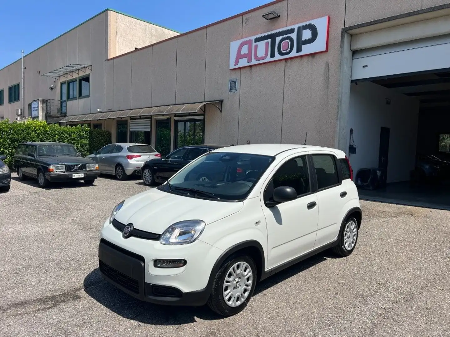 Fiat Panda 1.0 FireFly S&S Hybrid Pandina Bianco - 1